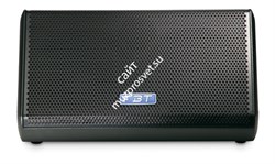 FBT MITUS 210M - пассивный двухполосный напольный монитор, 400Вт, 8 Ом,128дБ, 65Гц-20к Гц,2х10"+1,4" - фото 114991