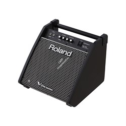Roland PM-100 - монитор для V-Drums, 80 Вт - фото 120798