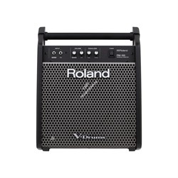 Roland PM-100 - монитор для V-Drums, 80 Вт - фото 120799