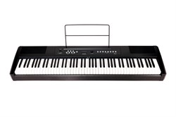 Ringway RP-25 Цифровое фортепиано. Клавиатура: 88 полноразмерных динамических молоточковых клавиш - фото 140548