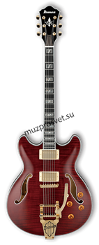 Ibanez EKM10T-WRD полуакустическая гитара с кейсом - фото 163823