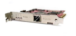 FOCUSRITE RedNet PCIe Card карта ввода/вывода для MAC/PC (128 входов/128 выходов, 24/192, интерфейс Dante) - фото 18550