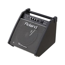 Roland PM-100 - монитор для V-Drums, 80 Вт - фото 23882