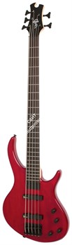 EPIPHONE Toby Deluxe-V Bass (gloss) TR бас-гитара 5-струнная, цвет красный - фото 28733