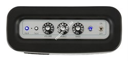 FENDER Newport Bluetooth Speaker портативная колонка, 30 Вт, цвет черный - фото 34808