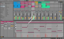 Ableton Live 10 Suite Edition UPG from Live Lite - фото 46152
