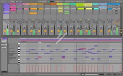 Ableton Live 9 Standard UPG from Live Lite - фото 46171