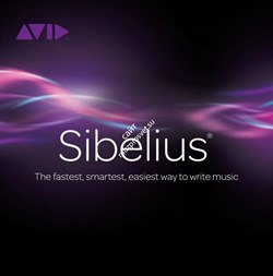 Avid Sibelius for Education with Upgrade Plan - фото 54760