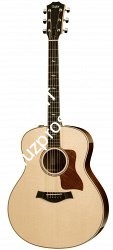 TAYLOR 818e 800 Series, гитара электроакустическая, форма корпуса Grand Orchestra, кейс - фото 64667