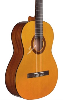 CORDOBA PROT?G? C1M классическая гитара, корпус махогани, верхняя дека ель, цвет натуральный, покрытие матовое - фото 65087