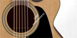 TAKAMINE PRO SERIES 1 P1NC электроакустическая гитара типа NEX CUTAWAY с кейсом, цвет натуральный - фото 70922