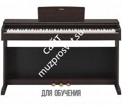 YAMAHA YDP-143R цифровое фортепиано, цвет Dark Rosewood - фото 71913
