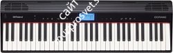 ROLAND GO-61P Компактное пианино, 61 клавиша, Bluetooth - фото 75369