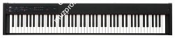 KORG D1 цифровое пианино, цвет черный - фото 76632
