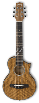 IBANEZ EWP14WB-OPN акустическая гитара - фото 85510