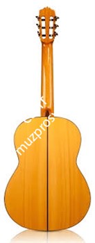 CORDOBA LUTHIER F10 Flamenco, классическая гитара в стиле фламенко, топ - ель, дека - кипарис, кейс из вспененного ПВХ - фото 86153