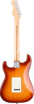 FENDER AM PRO STRAT MN SSB (ASH) электрогитара American Pro Stratocaster, цвет сиенна санберст (ясень), кленовая накладка грифа - фото 86421