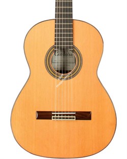CORDOBA Espa?a Solista CD классическая гитара, корпус массив индийского палисандра, верхняя дека массив ели в комплекте кейс - фото 88750