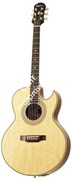 EPIPHONE PR-5E NATURAL GOLD HDWE электроакустическая гитара, цвет натуральный