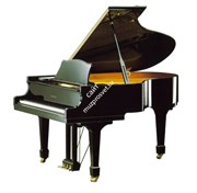 SAMICK NSG186D/EBHP - рояль, 102x151x186, 341кг, цвет-черный, полир.
