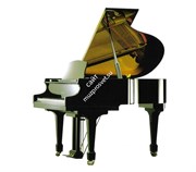 SAMICK SIG54D/EBHP - рояль, 103x148x161, 302кг, цвет-черный, полир.