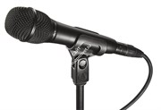 AT2010/Микрофон кардиоидный с большой диафрагмой/AUDIO-TECHNICA