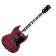 SG300 RDS /Эл.гитара/J&amp;D