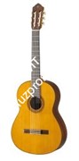 Yamaha CG182C классическая гитара, дека кедр массив, корпус палисандр, гриф нато, накладка черное дерево