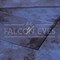 Фон Falcon Eyes DigiPrint-3060(C-110) муслин - фото 102270