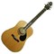GREG BENNETT GD100S - акустическая гитара, дредноут, ель, цвет натуральный - фото 112634