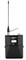 SHURE QLXD14E/153B G51 радиосистема с поясным передатчиком и ушным микрофоном MX153B (черный) - фото 166192