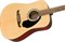 Fender FA-125 Dreadnought Walnut акустическая гитара, в комплекте чехол - фото 167593