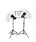Импульсный свет комплект FST E-250 Umbrella KIT, шт - фото 18021