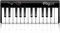 IK MULTIMEDIA iRig Keys 25 USB MIDI-клавиатура для Mac и PC, 25 клавиш - фото 18216