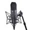 Peavey Studio Pro M2 Конденсаторный студийный микрофон с регулируемой направленностью - фото 205434