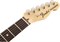 FENDER AM SPEC TELE RW SGM Электрогитара Telecaster, цвет зеленый метеллик - фото 42408