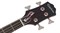 EPIPHONE EMBASSY PRO BASS EBONY бас-гитара 4-струнная, цвет черный - фото 64076