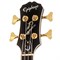 EPIPHONE 'Allen Woody' Ltd Ed. RumbleKAT WR бас-гитара 4-струнная, цвет санберст - фото 64139