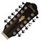 IBANEZ AEG1812II-DVS, 12-ти струнная электроакустическая гитара , цвет античный тёмный бёрст, - фото 64267