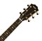 TAYLOR 818e 800 Series, гитара электроакустическая, форма корпуса Grand Orchestra, кейс - фото 64670