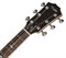 TAYLOR 816ce DLX 800 Series DLX, гитара электроакустическая, форма корпуса Grand Symphony, кейс - фото 64695