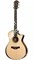 TAYLOR PS12ce 12-Fret Presentation Series, гитара электроакустическая, форма корпуса Grand Concert, кейс - фото 64750