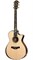 TAYLOR PS12ce 12-Fret Presentation Series, гитара электроакустическая, форма корпуса Grand Concert, кейс - фото 64751