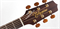 TAKAMINE PRO SERIES 3 P3NC электроакустическая гитара типа NEX CUTAWAY с кейсом, цвет натуральный - фото 70930