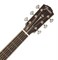 FENDER PM-4CE AUDITORIUM LTD NATURAL электроакустическая, серия Paramount, цвет натуральный - фото 75796