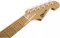 Charvel Guthrie Govan Signature Bird's Eye Maple, Maple Fingerboard, Natural Top with Caramelized Basswood Body Электрогитара - фото 80058