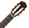CORDOBA IBERIA CADETE, классическая гитара, размер 3/4, топ - канадский кедр, дека - махагони, цвет - натуральный, обработка - фото 86086