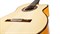 CORDOBA LUTHIER GK Pro, классическая гитара, топ - ель, дека - кипарис, тембр блок - Fishman, жесткий влагозащитный кейс - фото 86160