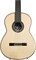 CORDOBA LUTHIER C12 SPRUCE, классическая гитара, топ - ель, дека - палисандр, жесткий влагозащитный кейс - фото 86171
