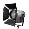 Осветитель студийный GreenBean Fresnel 300 LED X3 DMX, шт - фото 97020